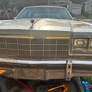 1979 Buick Park Avenue