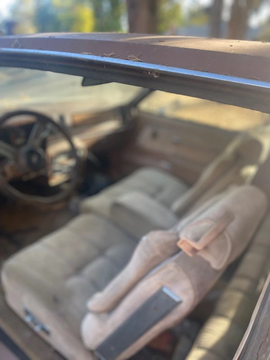 1979 Buick Regal - Image 7 of 11