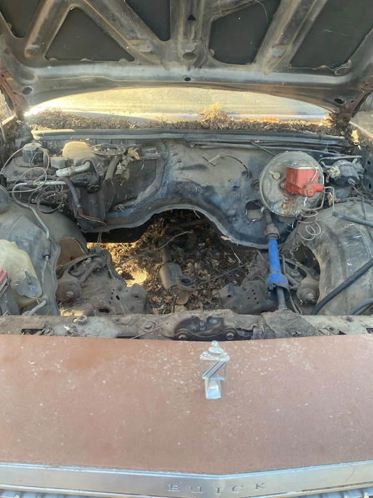 1979 Buick Regal - Image 10 of 11
