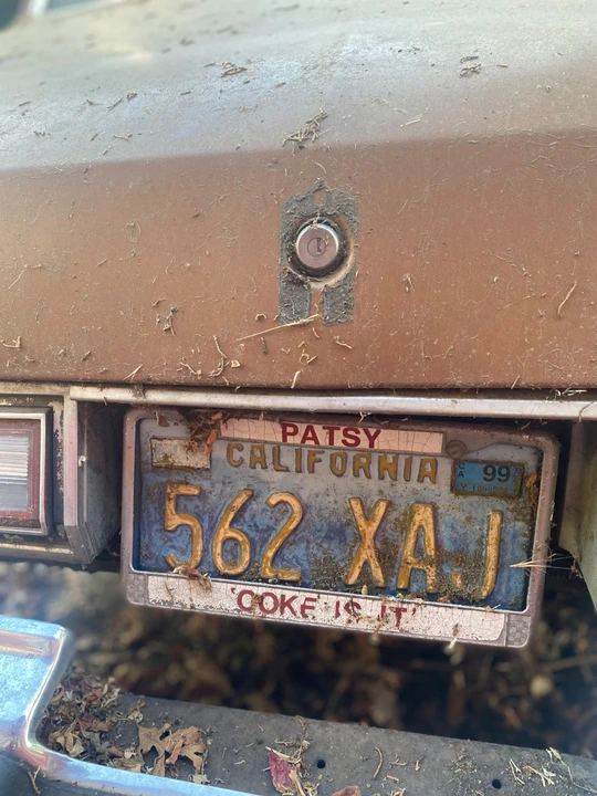1979 Buick Regal - Image 4 of 11