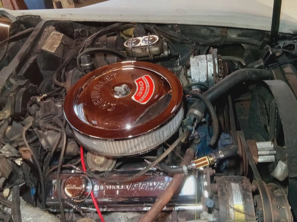 1979 Chevrolet Corvette C3 - Image 6 of 14