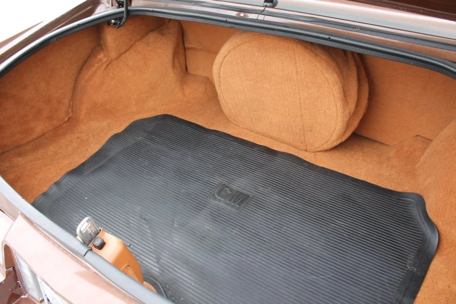 1979 Cadillac Eldorado 10th Gen - Image 16 of 28
