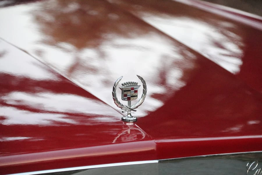 1979 Cadillac Eldorado 10th Gen - Image 11 of 28