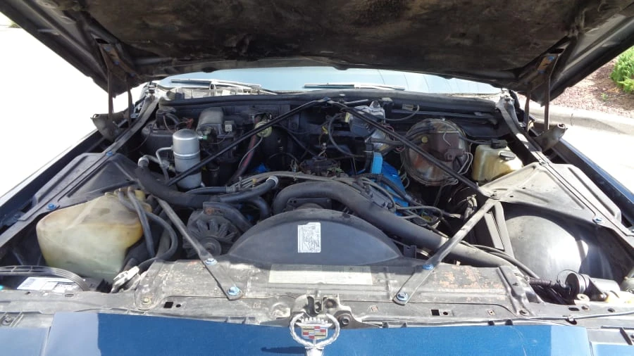 1979 Cadillac Series 70 & 75 - Image 12 of 24