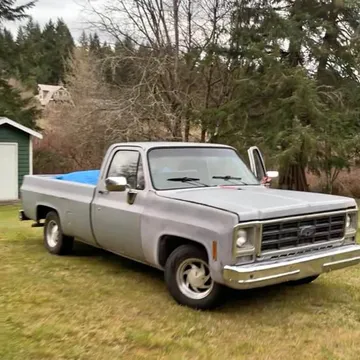 1979 Chevrolet 1500 Regular Cab C10 Long Bed