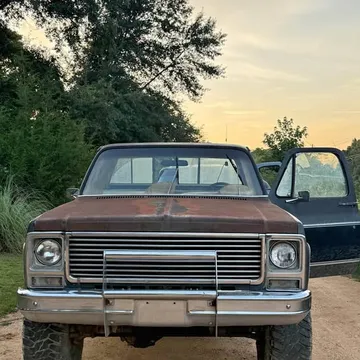 1979 Chevrolet 1500 Regular Cab Short Bed