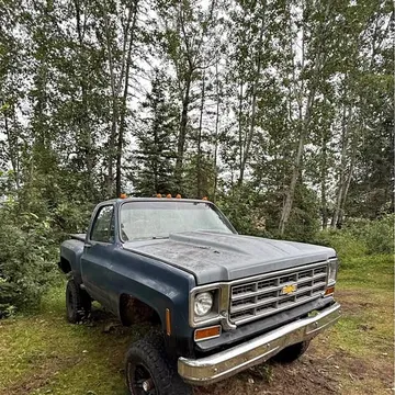 1979 Chevrolet 1500 Regular Cab Short Bed