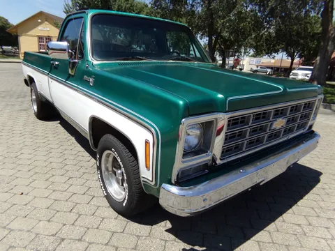 1979 Chevrolet C-10 Long Bed