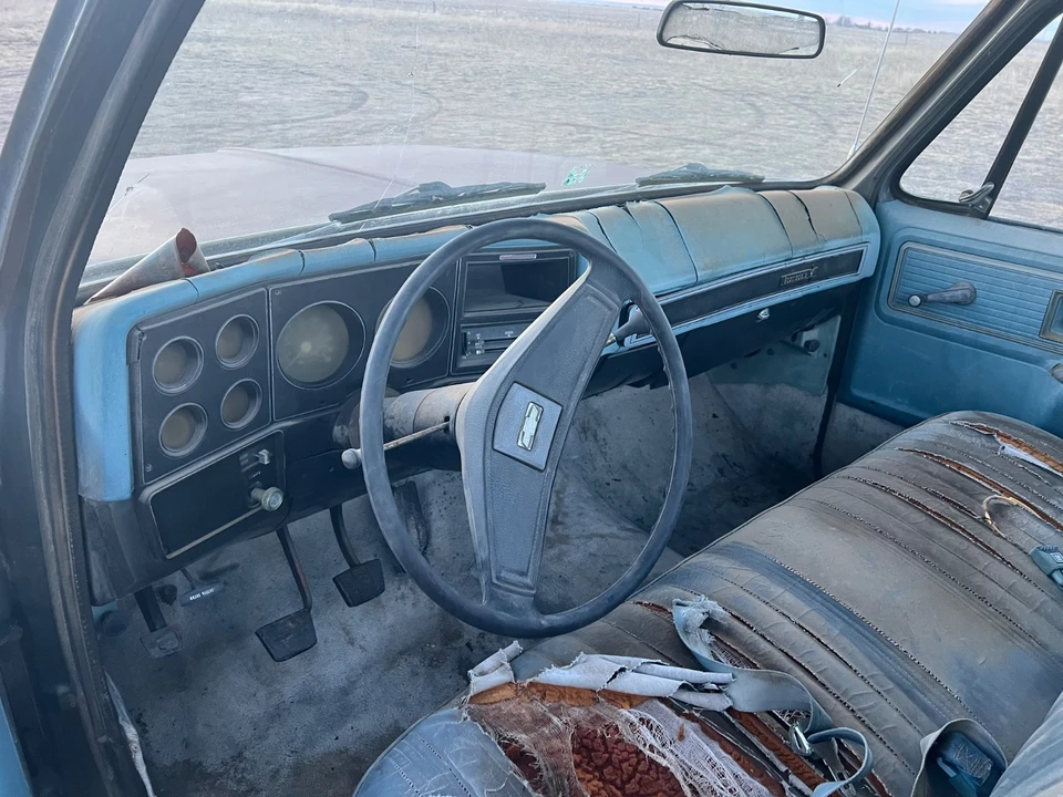 1979 Chevrolet C/K 3rd Gen - Image 7 of 14