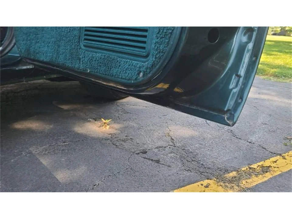 1979 Chevrolet C/K 3rd Gen - Image 11 of 24