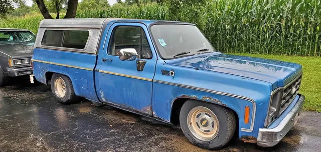 1979 Chevrolet C10 Deluxe