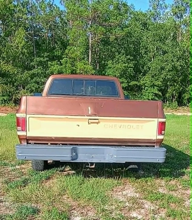1979 Chevrolet C/K 3rd Gen - Image 6 of 13