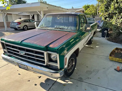 1979 Chevrolet C10 Scottsdale