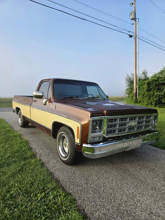 1979 Chevrolet C/K 3rd Gen - Image 2 of 12