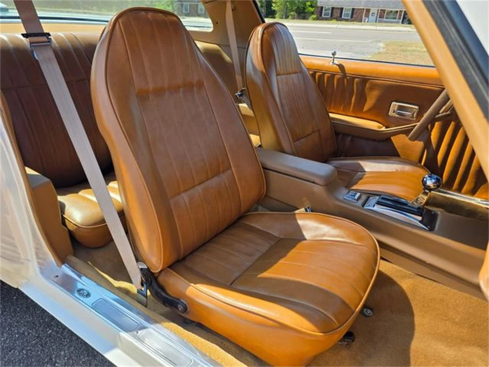 1979 Chevrolet Camaro 2nd Gen - Image 31 of 31