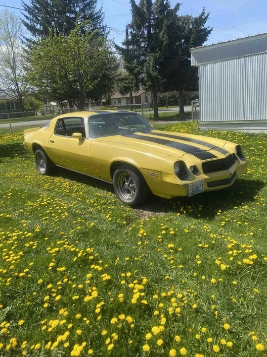 1979 Chevrolet Camaro 2nd Gen - Image 8 of 11