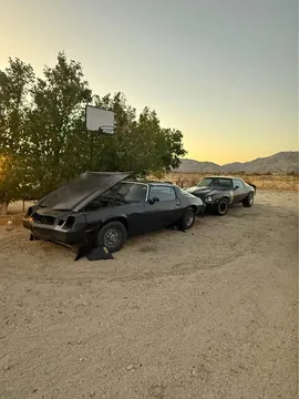 1979 Chevrolet Camaro Berlinetta Coupe