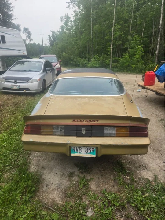1979 Chevrolet Camaro 2nd Gen - Image 4 of 5