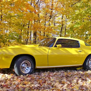 1979 Chevrolet Camaro
