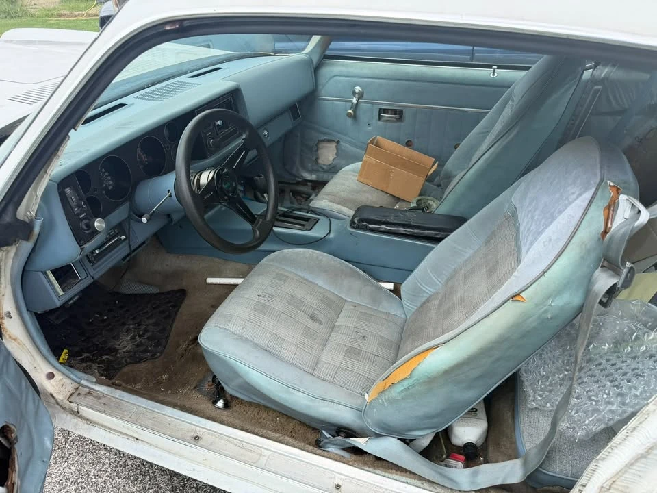1979 Chevrolet Camaro Z/28 2nd Gen - Image 7 of 9