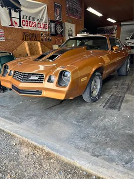 1979 Chevrolet Camaro Z28 Coupe 2D