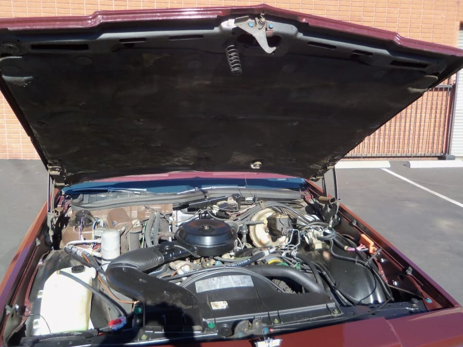 1979 Chevrolet Caprice - Image 6 of 7