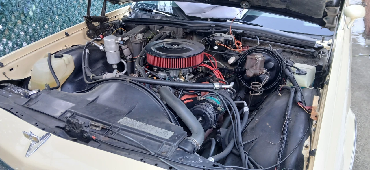 1979 Chevrolet Caprice - Image 10 of 12