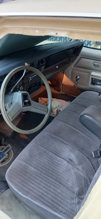 1979 Chevrolet Caprice - Image 9 of 12