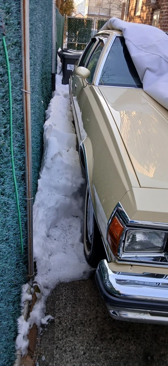 1979 Chevrolet Caprice - Image 5 of 12