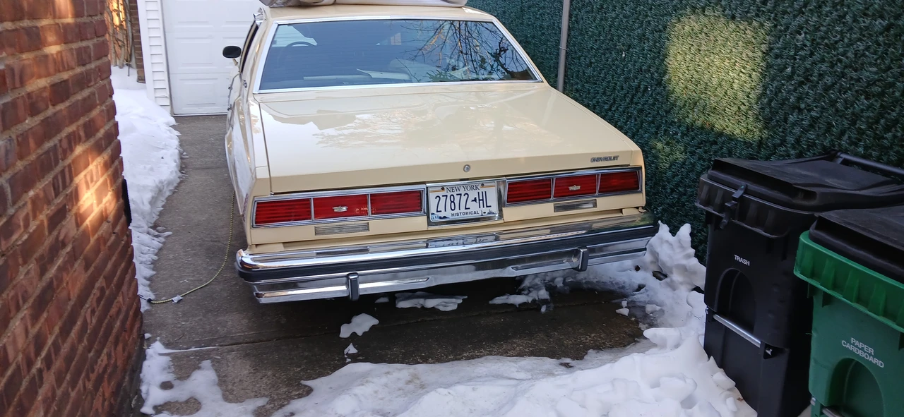 1979 Chevrolet Caprice - Image 4 of 12