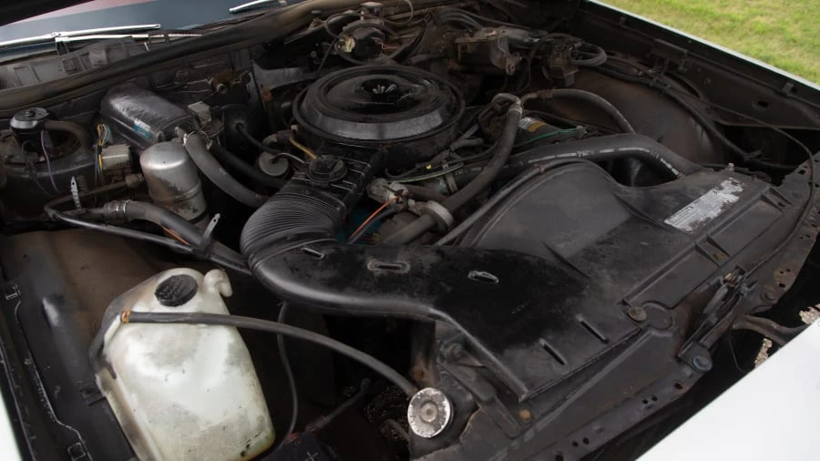 1979 Chevrolet Caprice - Image 7 of 12