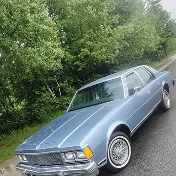 1979 Chevrolet Caprice