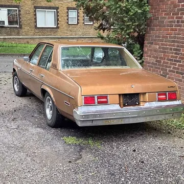 1979 Chevrolet Caprice Sedan 4D