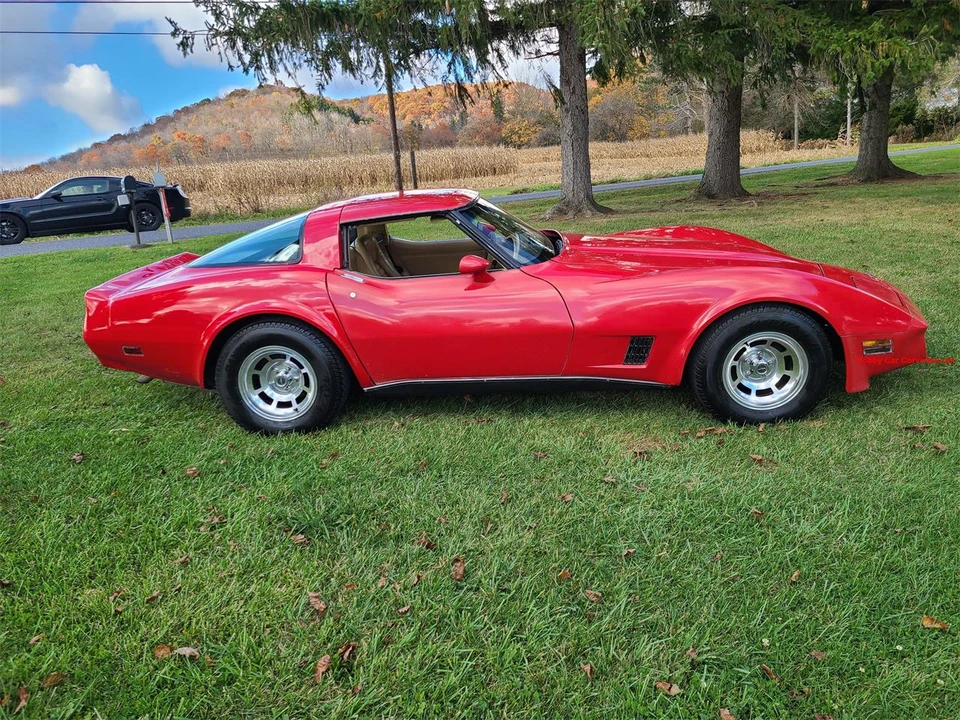 1979 Chevrolet Corvette C3 - Image 8 of 31