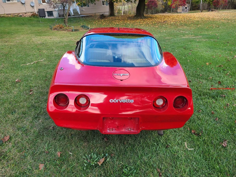 1979 Chevrolet Corvette C3 - Image 10 of 31