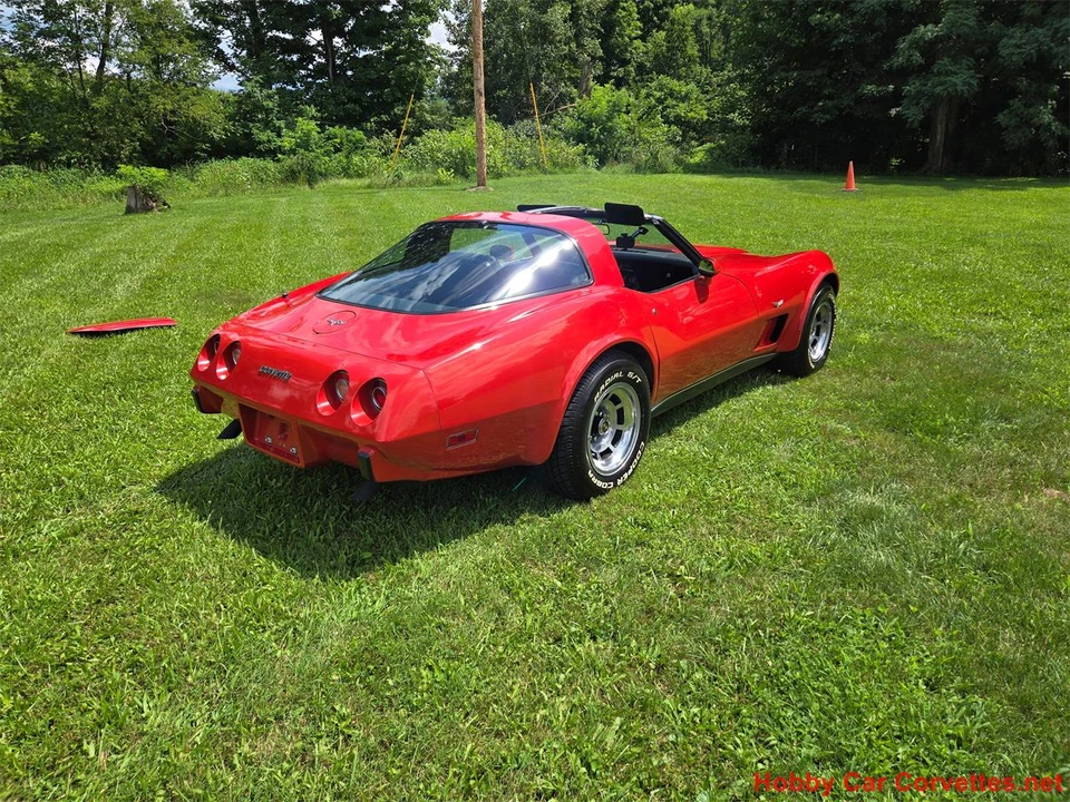 1979 Chevrolet Corvette C3 - Image 3 of 31
