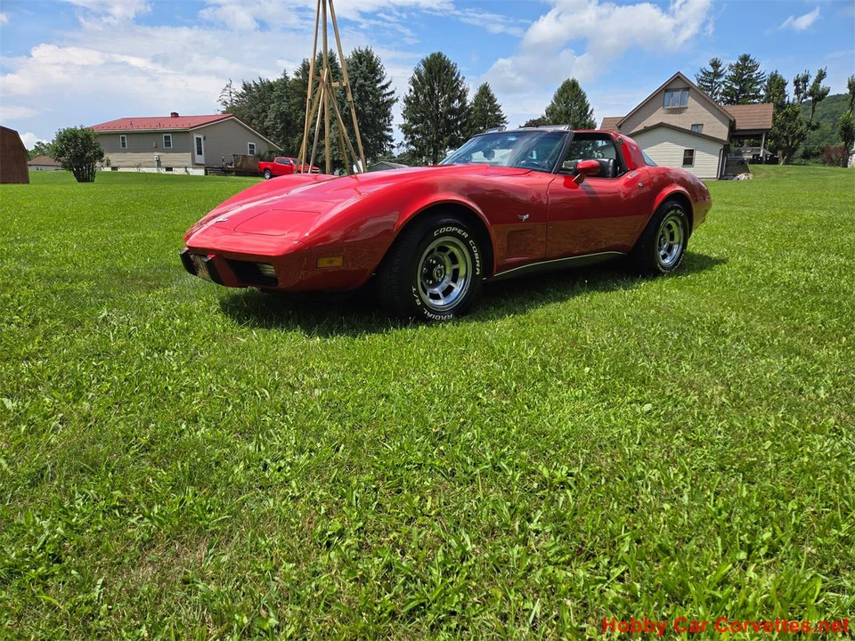 1979 Chevrolet Corvette C3 - Image 7 of 31