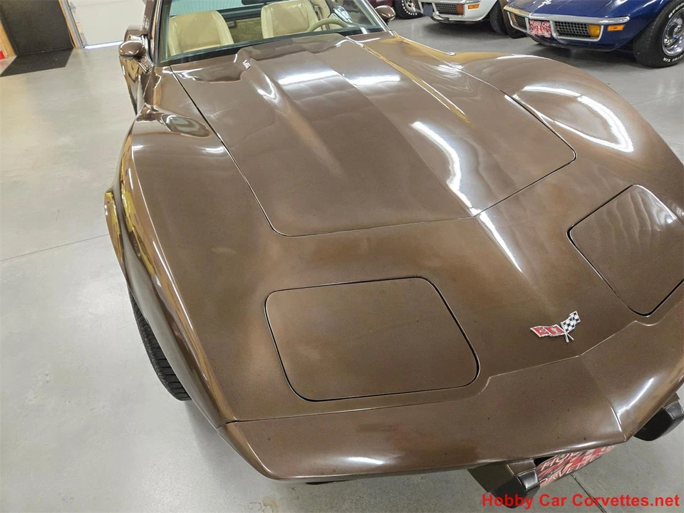 1979 Chevrolet Corvette C3 - Image 15 of 31