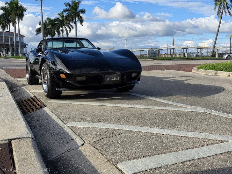 1979 Chevrolet Corvette C3 - Image 2 of 14