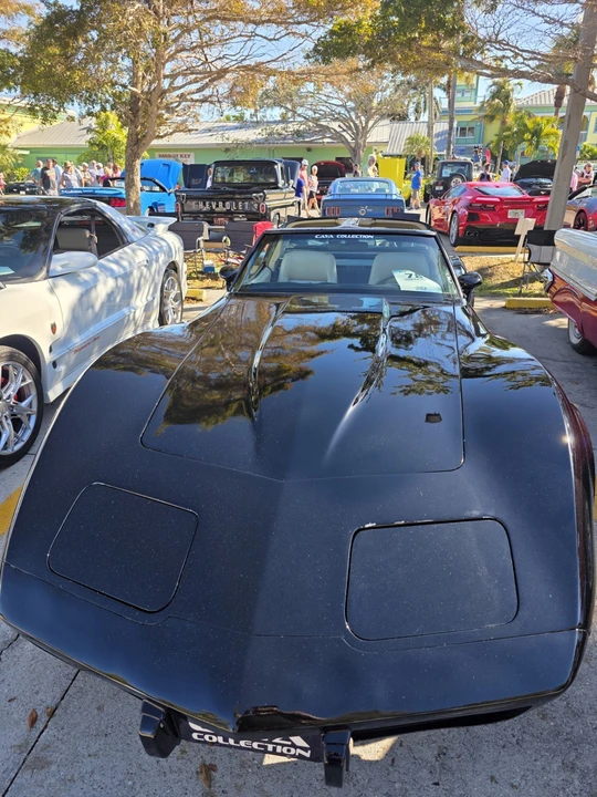 1979 Chevrolet Corvette C3 - Image 13 of 14