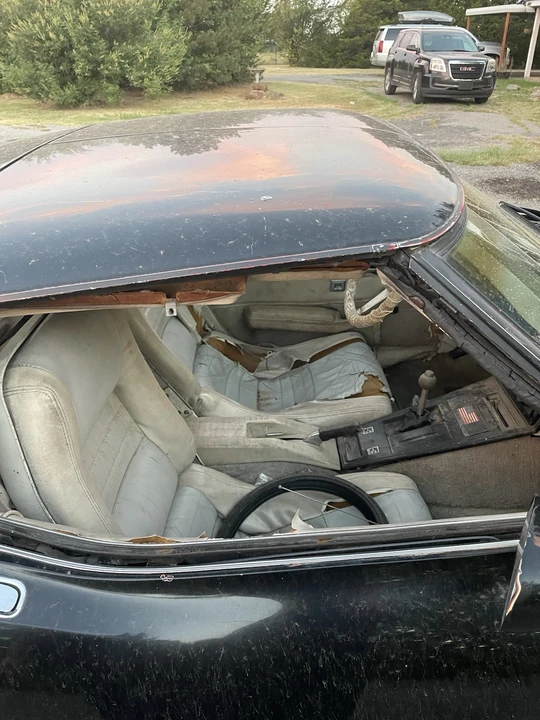 1979 Chevrolet Corvette C3 - Image 14 of 15