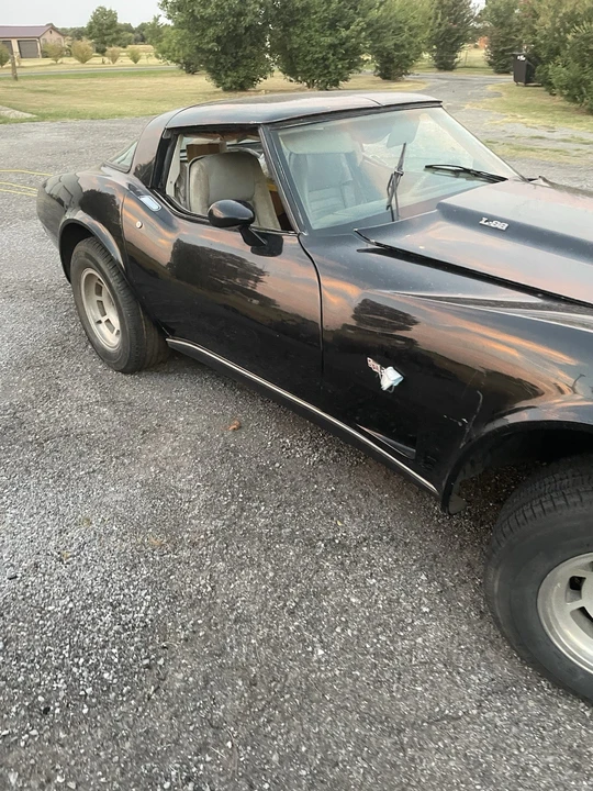 1979 Chevrolet Corvette C3 - Image 15 of 15