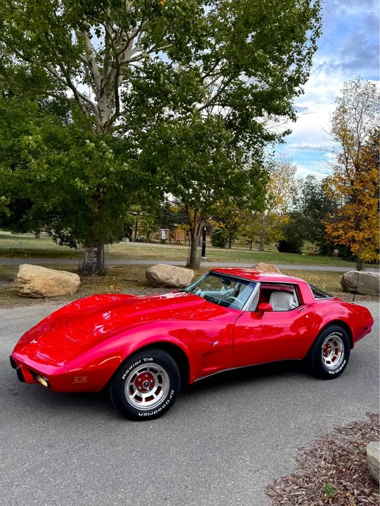 1979 Chevrolet Corvette C3 - Image 5 of 7