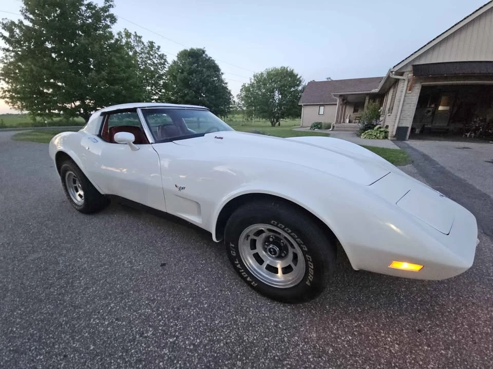1979 Chevrolet Corvette C3 - Image 14 of 19