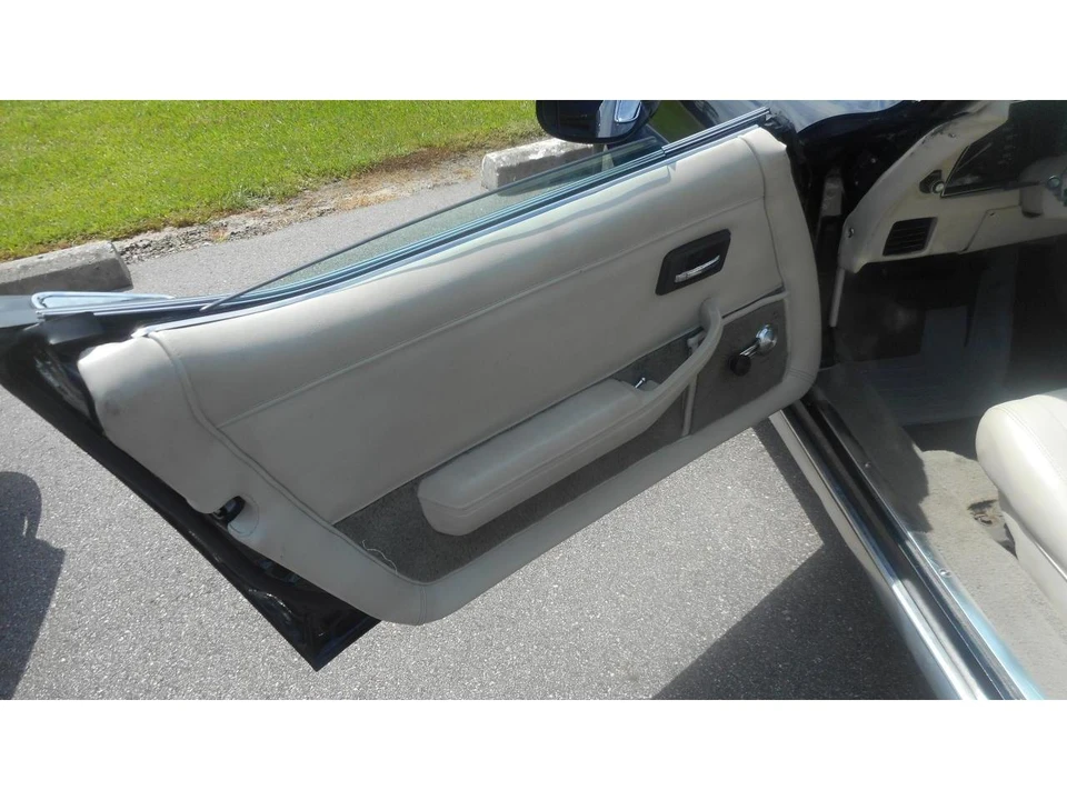 1979 Chevrolet Corvette C3 - Image 15 of 15