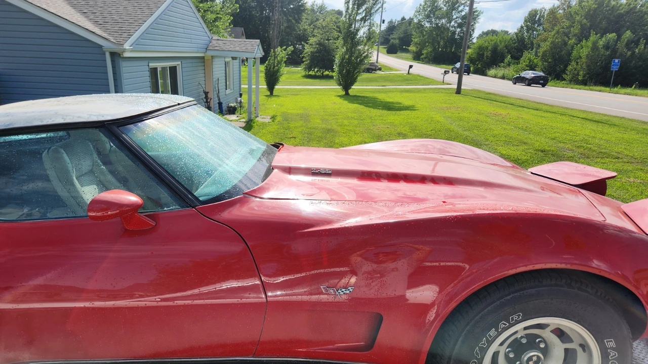 1979 Chevrolet Corvette C3 - Image 16 of 20