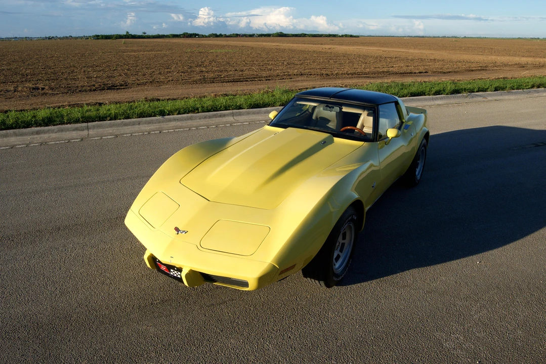 1979 Chevrolet Corvette C3 - Image 9 of 31