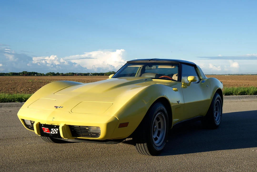 1979 Chevrolet Corvette C3 - Image 11 of 31