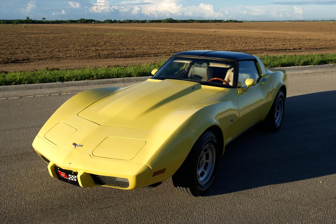 1979 Chevrolet Corvette C3 - Image 10 of 31
