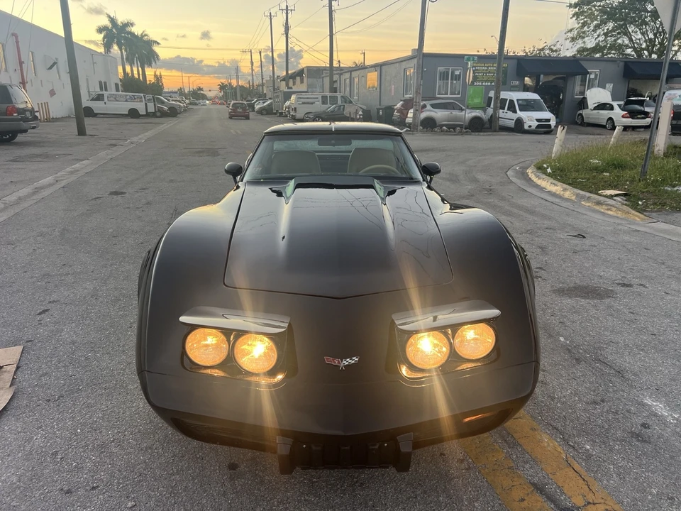 1979 Chevrolet Corvette C3 - Image 12 of 21